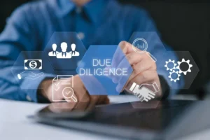 Due Diligence Services