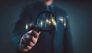 Asset Search & Investigation