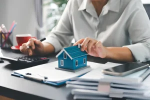 Intellectual Property Law