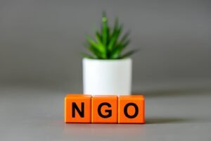 Non-Governmental Organisation